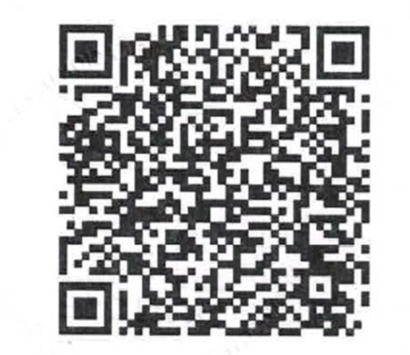 QR block, multiperforado, bh8s, 12x20x40