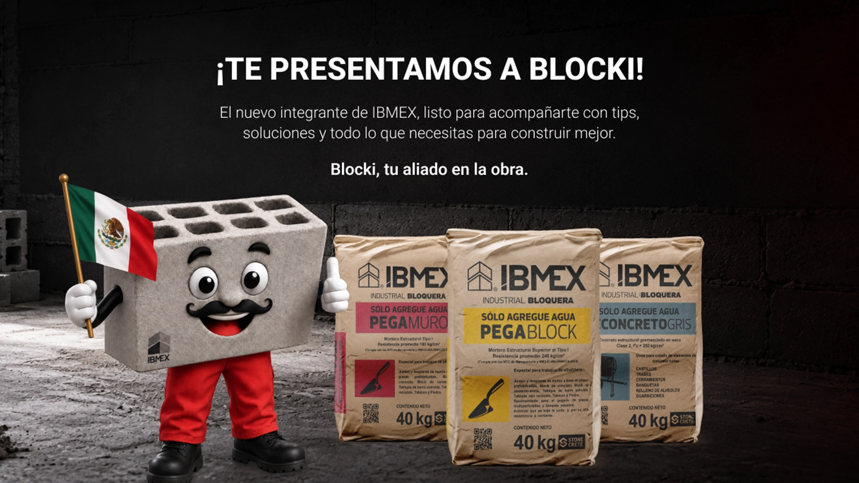 Fabricante mexicano de blocks de concreto, adoquines y morteros — IBMEX